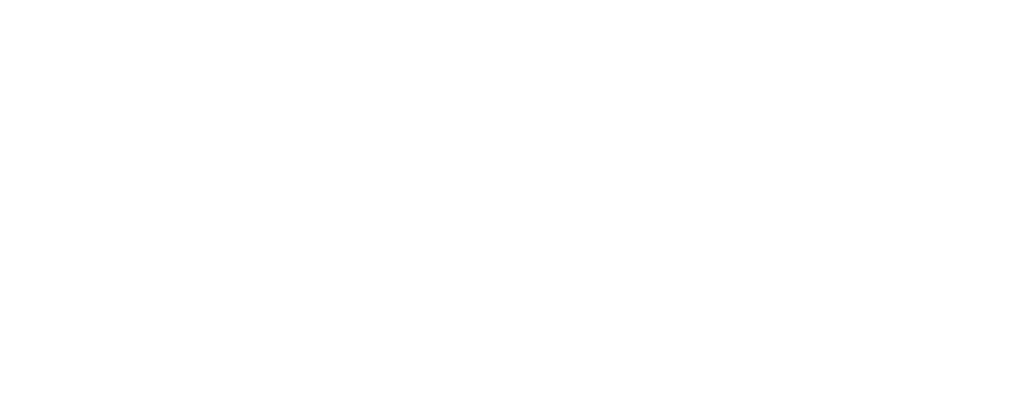 RegusBags